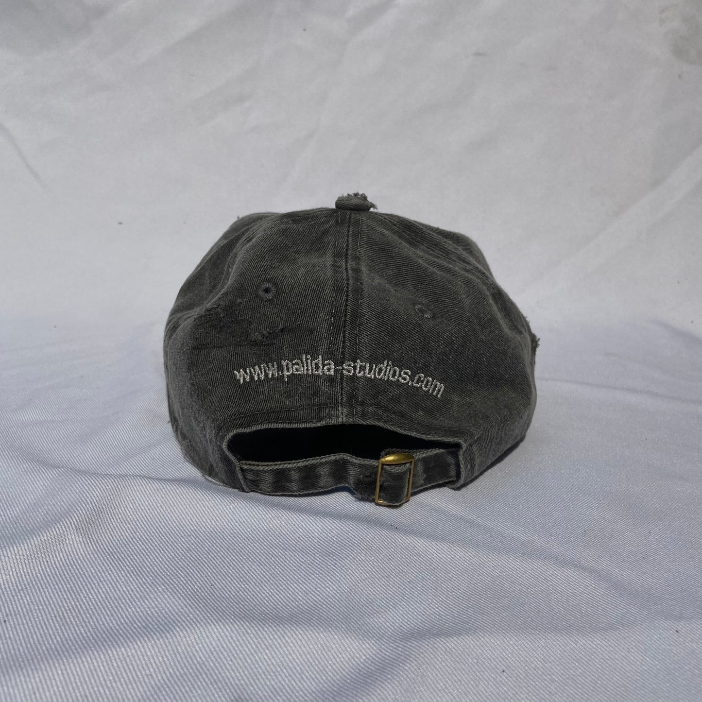 pālida® - PROTEGE™ dad hat