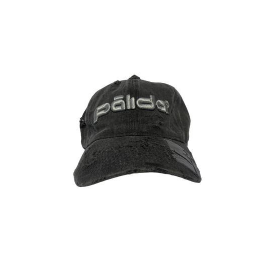 pālida® - PROTEGE™ dad hat