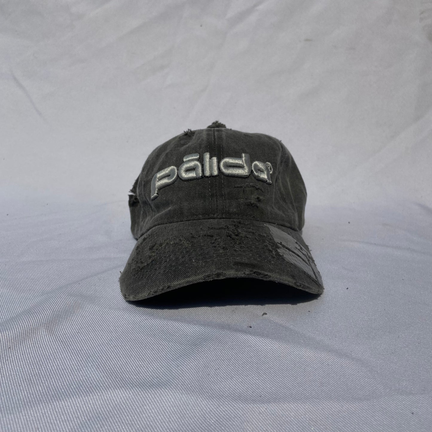 pālida® - PROTEGE™ dad hat