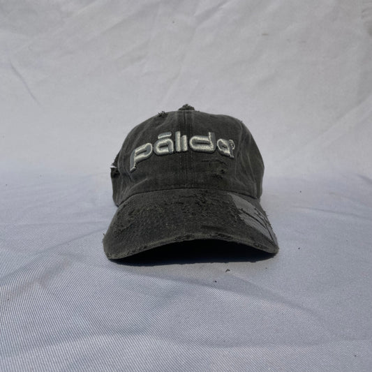 pālida® - PROTEGE™ dad hat