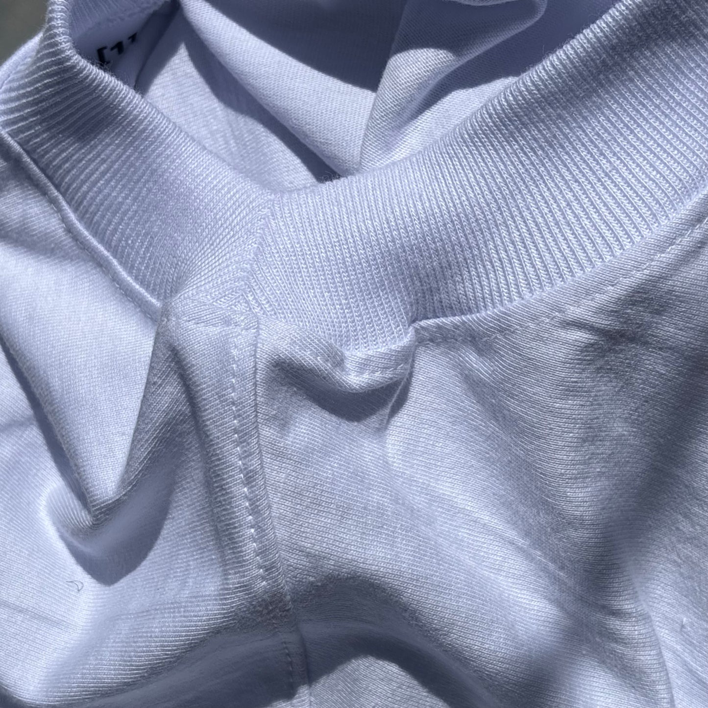 pālida® - LEALTāD Zapata_Tee™