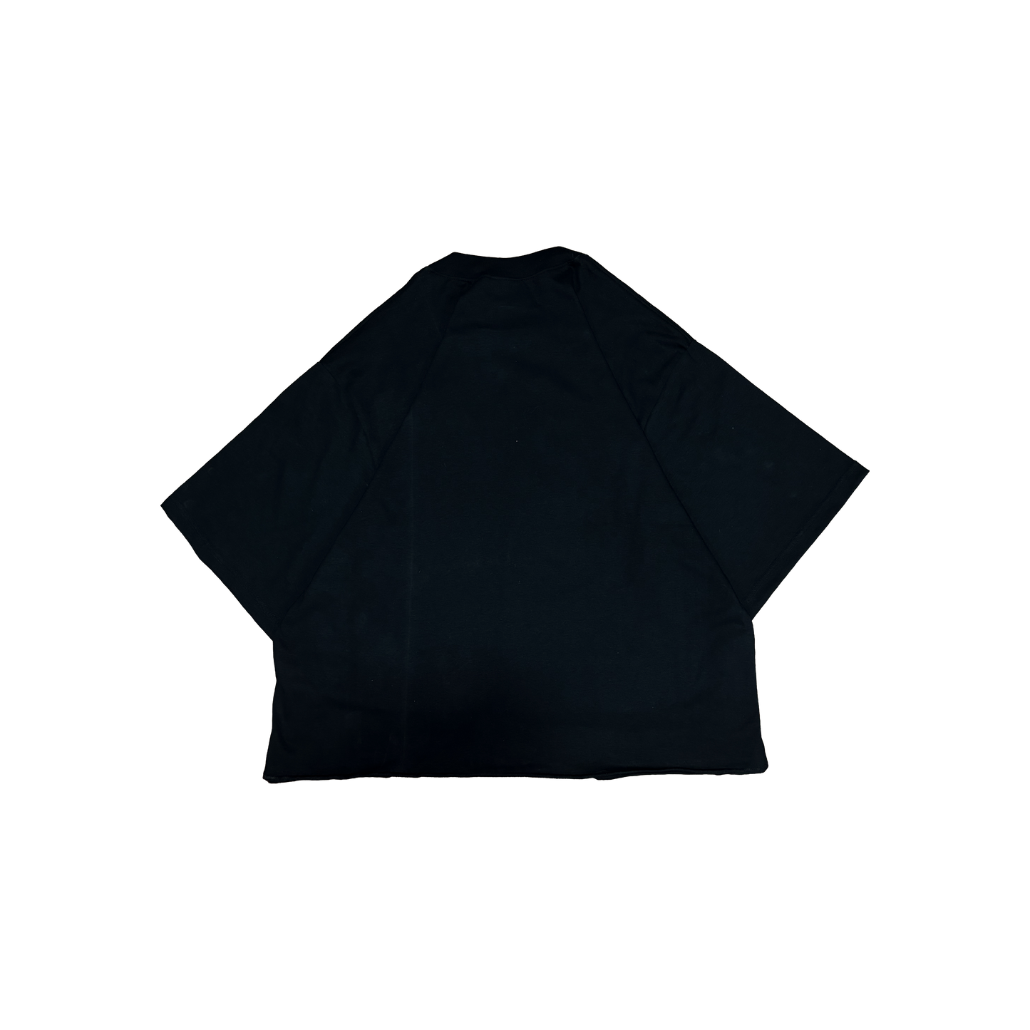 pālida® - FUERZā Petroglifo_piedra_tee™