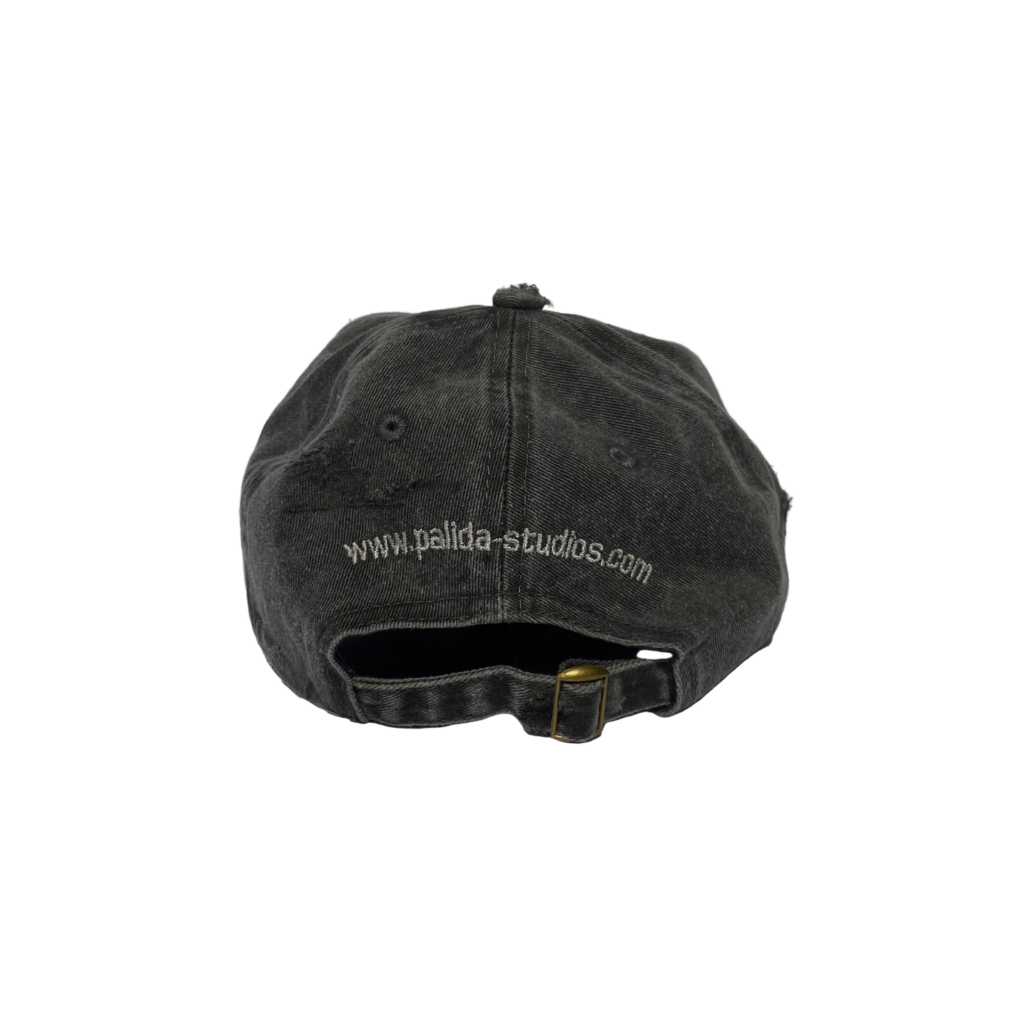 pālida® - PROTEGE™ dad hat