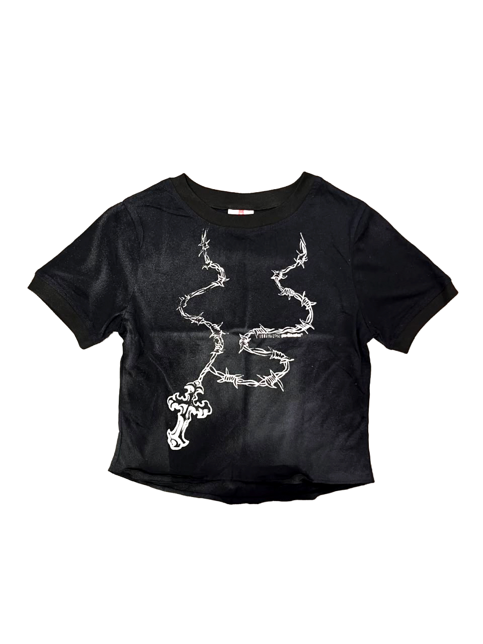 pālida® - bbytee - PRōTEGE TU āLMA™