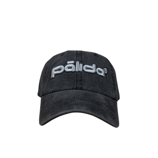 pālida® - PROTEGE™ dad hat