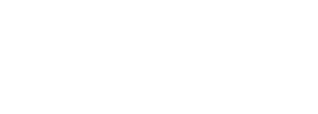 palida_studios
